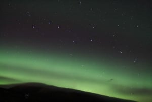 2-Hour Northern Lights Cruise from Reykjavik