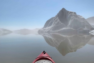 5 dager - sørkysten, østfjordene og høylandet