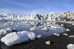 5 dagar - Sydkusten, Östfjordarna och höglandet