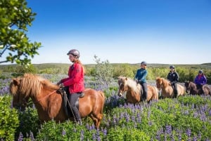 Da Reykjavík: Tour a cavallo vichingo a Hafnarfjörður