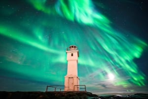 Excursão ao AURORA BOREAL com foto profissional saindo de Reykjavik