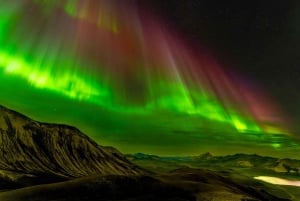 Aurora Explorer 4x4 Northern Lights Adventure from Reykjavík