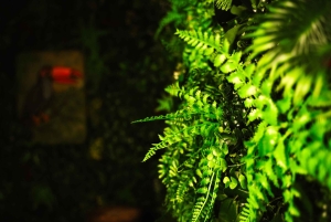 Breakout Reykjavík - Escape Room