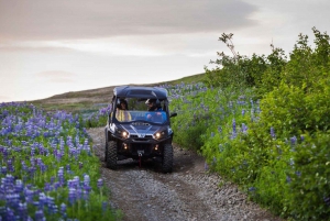 Buggy & Sky Lagoon Tour