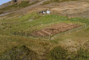 ラウガルヴァトン洞窟 スタンダードツアー