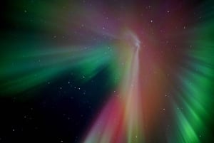 Chase the Aurora: Private Northern Lights Adventure Tour