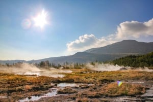 Classic Golden Circle - privat heldagstur fra Reykjavik