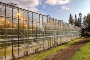 Classic Golden Circle - privat heldagstur fra Reykjavik