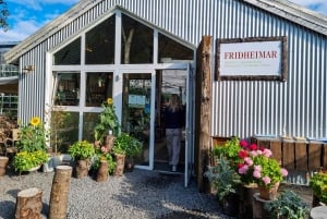 Classic Golden Circle - privat heldagstur fra Reykjavik