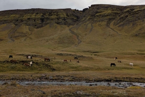 Caminhada de um dia até Grimannsfell: Cachoeira e Legado - moderada