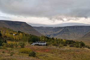 Caminhada de um dia até Grimannsfell: Cachoeira e Legado - moderada