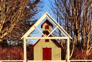 Tour di un giorno da, Reykjavik, KEF, Hveragerði, Selfoss o Hella