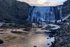 Tour di un giorno da, Reykjavik, KEF, Hveragerði, Selfoss o Hella