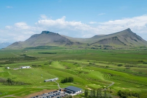 Dagstur til Akrafjall: Trollfjellet – moderat