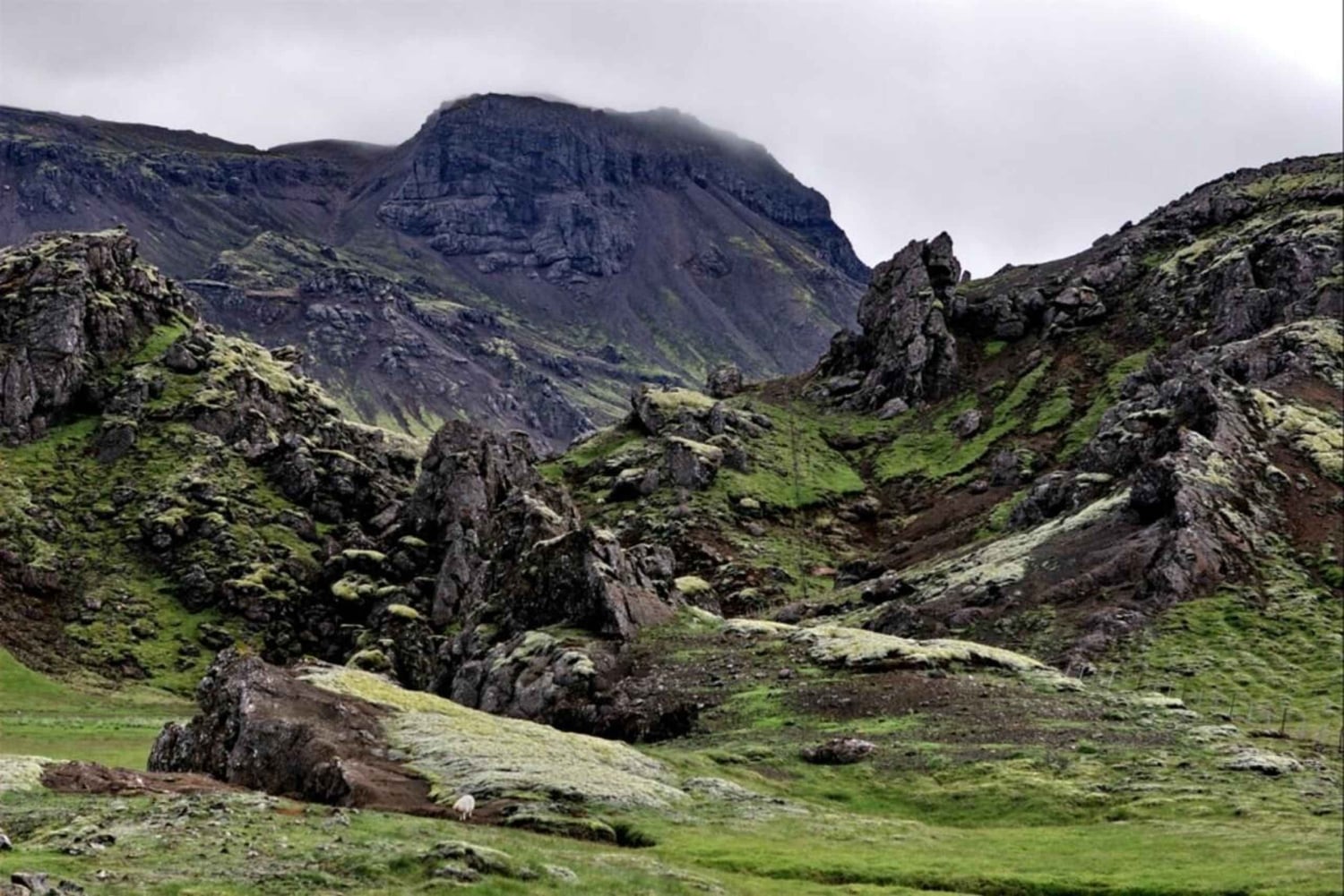 Trekking di un giorno a Hengill e alla sorgente calda - impegnativo
