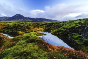 Dagstur till Seltun: Rökiga berg och sjöar – medelhög svårighetsgrad