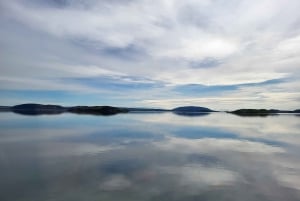 Descubre la Magia del Círculo Dorado en Islandia: Aventuras Inolvidables