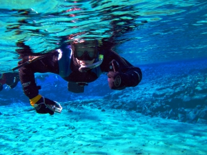 Dive.is - Snorkelling and Diving Tours
