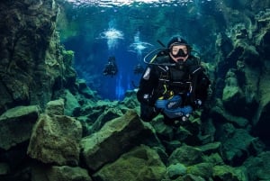 Dykning i Silfra Fissure i Thingvellir Nationalpark