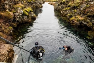 Dykning i Silfra Fissure i Thingvellir nationalpark