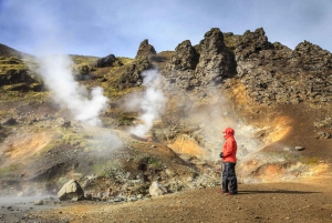 Visite privée exclusive de la péninsule de Reykjanes et du Lagon Bleu