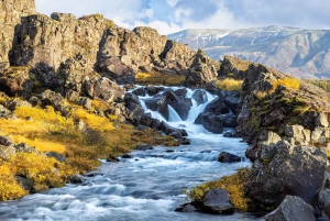 Exclusive Thingvellir National Park Private Half-Day Tour