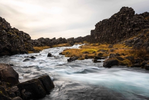 Exclusive Thingvellir National Park Private Half-Day Tour