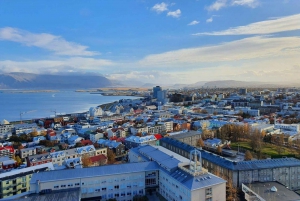 Explore Reykjavik's Legacy: In-App Audio Tour