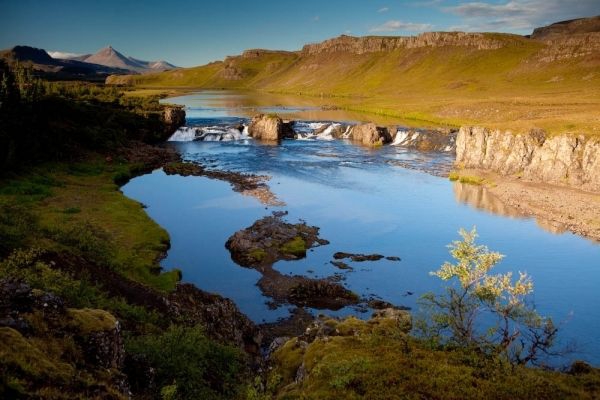 Fly fisher Group Iceland