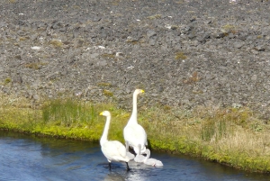 From Airport to Adventure: Private Reykjanes Peninsula Tour