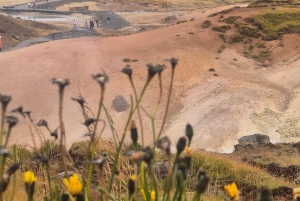 From Airport to Adventure: Private Reykjanes Peninsula Tour