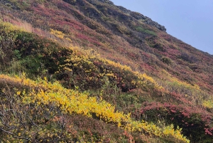 From Airport to Adventure: Private Reykjanes Peninsula Tour