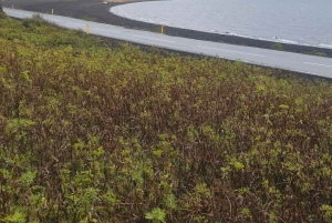 Do aeroporto à aventura: passeio privado pela Península de Reykjanes