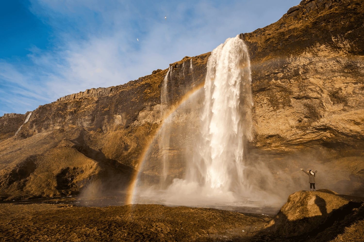 Из Рейкьявика: 3-дневный семейный пакет