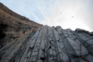 Из Рейкьявика: 3-дневный семейный пакет