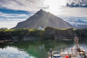 Из Рейкьявика: 3-дневный семейный пакет