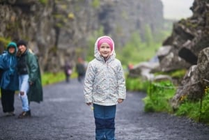 Desde Reikiavik: 3 días en busca de la aurora boreal y la laguna glaciar