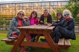 Desde Reikiavik: 3 días en busca de la aurora boreal y la laguna glaciar