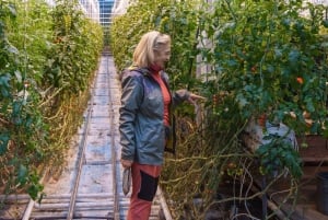 Desde Reikiavik: 3 días en busca de la aurora boreal y la laguna glaciar