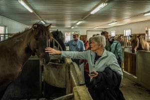 Desde Reikiavik: 3 días en busca de la aurora boreal y la laguna glaciar