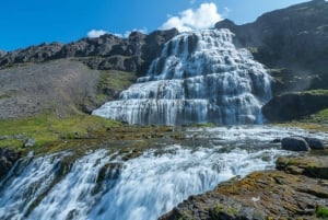 De Reykjavík: excursão de 3 dias pelos Wild Westfjords