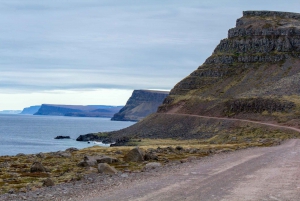 Från Reykjavík: 3-dagars rundtur i de vilda Västfjordarna