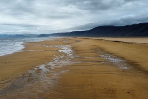 Z Reykjaviku: 3-dniowa wycieczka po Dzikich Fiordach Zachodnich