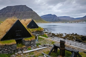 Z Reykjaviku: 3-dniowa wycieczka po Dzikich Fiordach Zachodnich