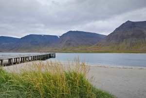 Z Reykjaviku: 3-dniowa wycieczka po Dzikich Fiordach Zachodnich