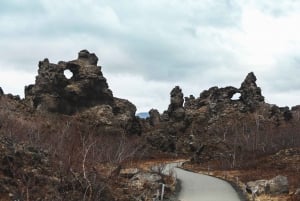 Vanuit Reykjavik: 6-daagse rondrit door IJsland