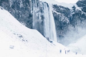 Vanuit Reykjavík: 7-daagse rondreis IJsland & Snæfellsnes