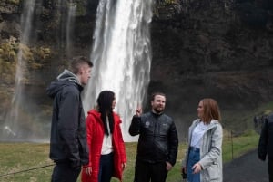 Vanuit Reykjavík: 7-daagse rondreis IJsland & Snæfellsnes