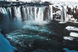 Vanuit Reykjavík: 7-daagse rondreis IJsland & Snæfellsnes