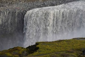 Vanuit Reykjavík: 7-daagse rondreis IJsland & Snæfellsnes